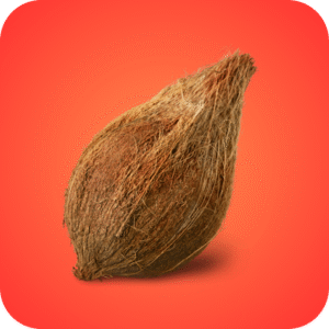 Nariyal: Divine Coconut Offering